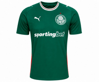 Palmeiras 2026 Jersey