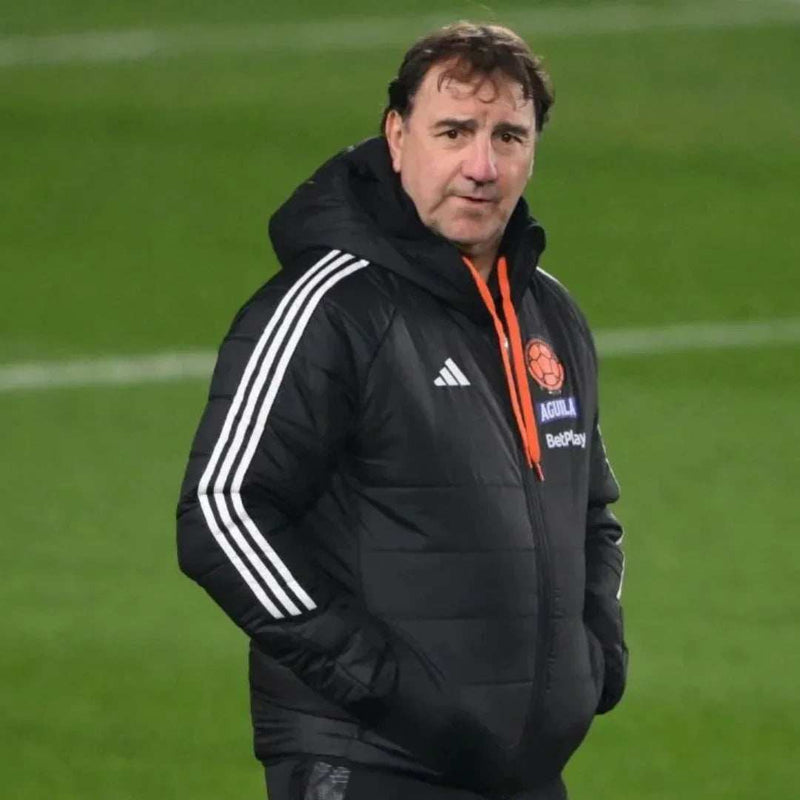 Chaquetas, Buzos y Hoodies